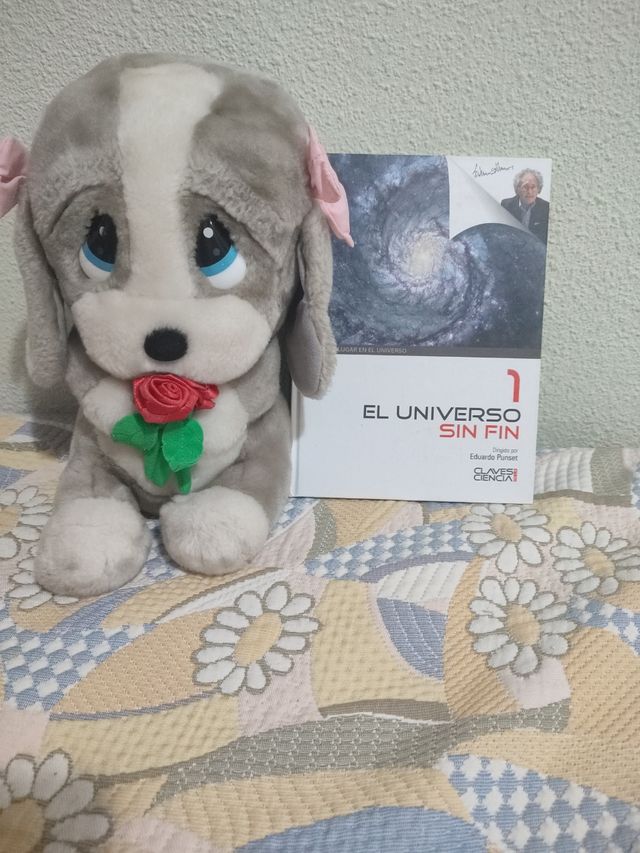 El universo sin fin. Tomo 1