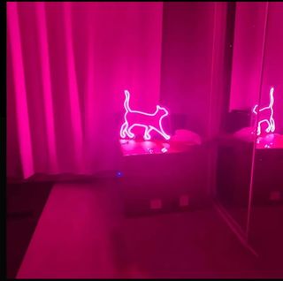 Lampada Neon Led "Gattina Rosa"