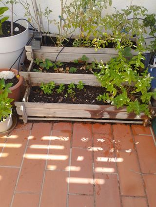 Huerto vertical escalonado en venta