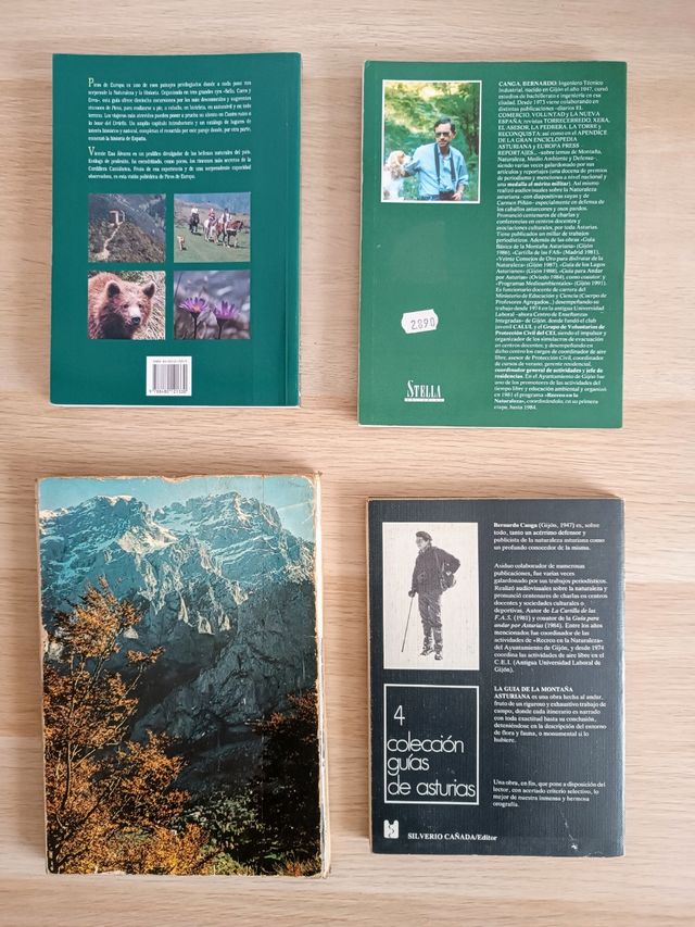 Guías de Picos de Europa y Montaña de Asturias