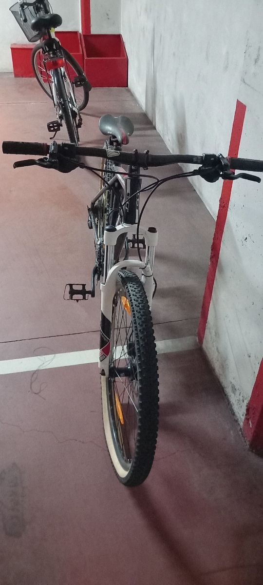 Bicicleta de montaña GT Avalanche