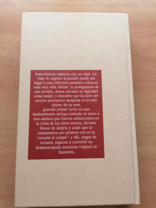 Querido Primer Novio