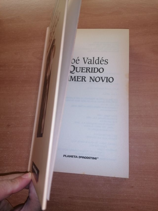 Querido Primer Novio