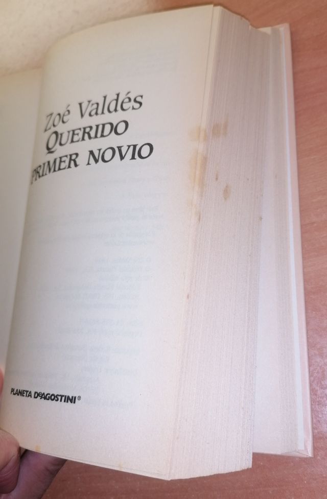 Querido Primer Novio