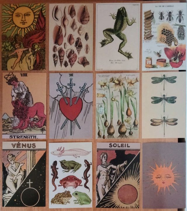 12 posters pequeños