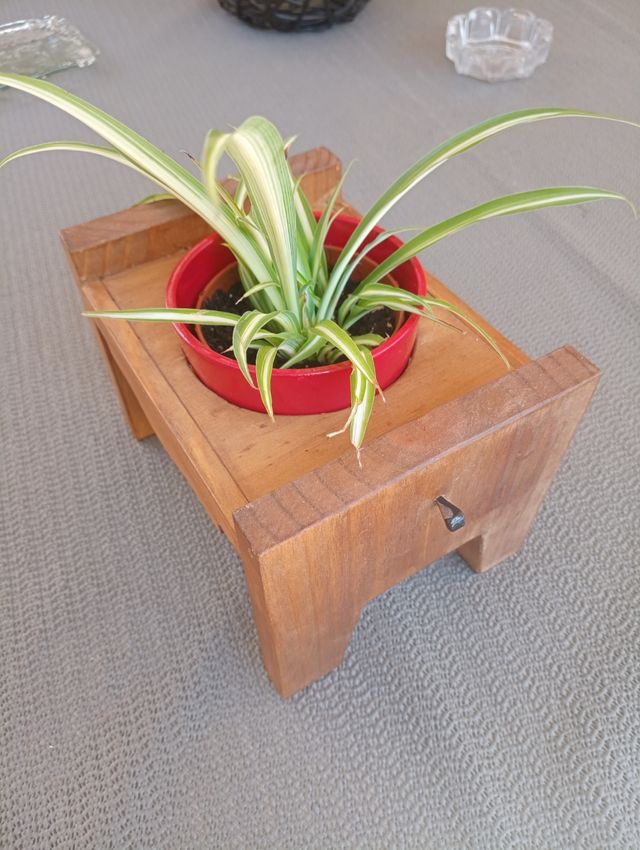 Macetero madera rojo - Soporte planta
