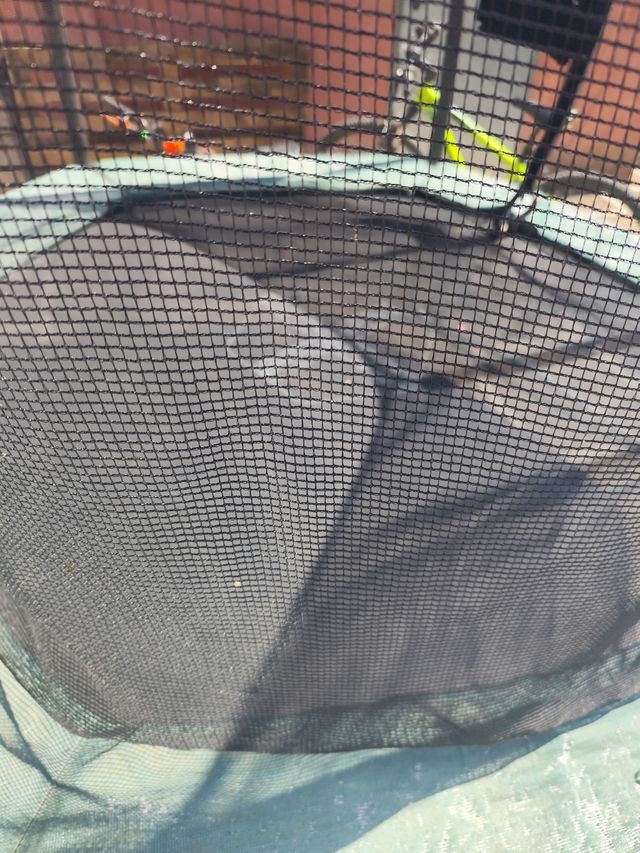 Cama elástica infantil