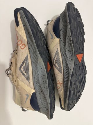 Zapatillas Nike Pegasus Trail GTX Beige