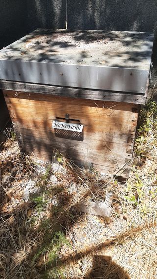 Caja / colmena abejas 