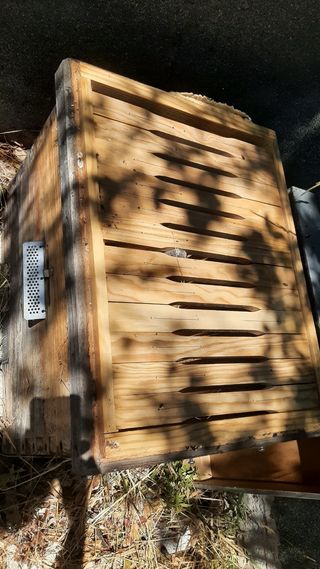 Caja / colmena abejas 