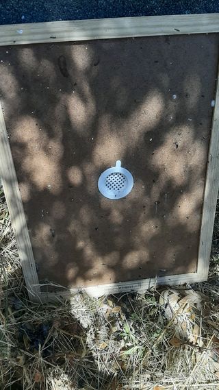 Caja / colmena abejas 