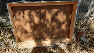 Caja / colmena abejas 
