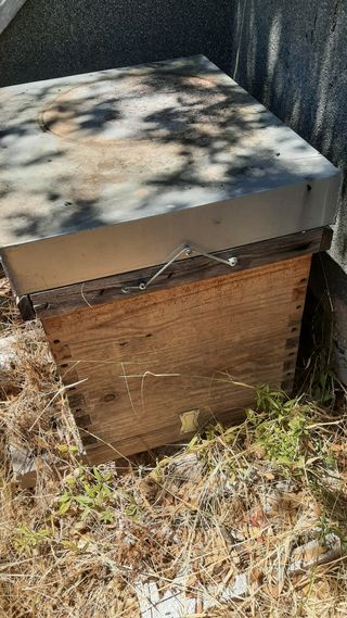 Caja / colmena abejas 