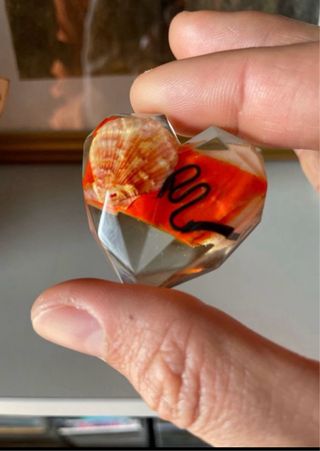 Cuore resina conchiglia