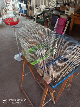 Jaulas pájaros 