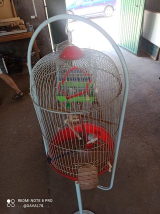 Jaulas pájaros 