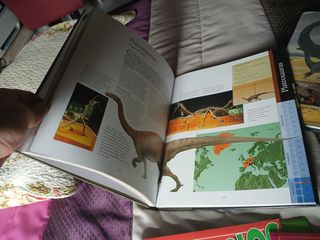 2 Libros Dinosaurios + 1 Figura + 10 Posters