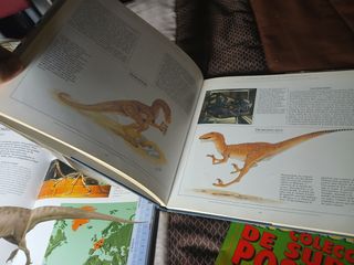 2 Libros Dinosaurios + 1 Figura + 10 Posters