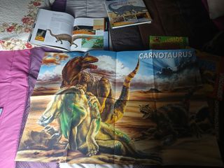 2 Libros Dinosaurios + 1 Figura + 10 Posters