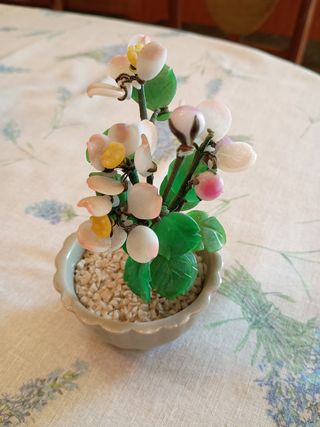 Albero di Giada cinese