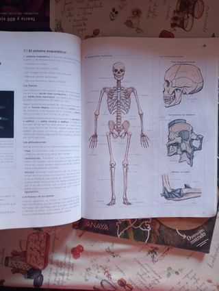 Libros de biología 3 eso
