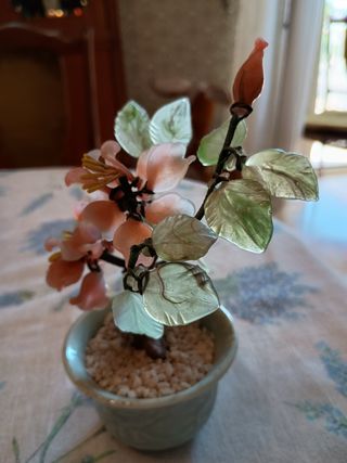 Bonsai Giada Fiori Pesco