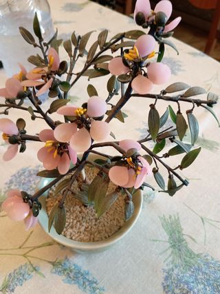 Bonsai Giada Rosa - Decorazione