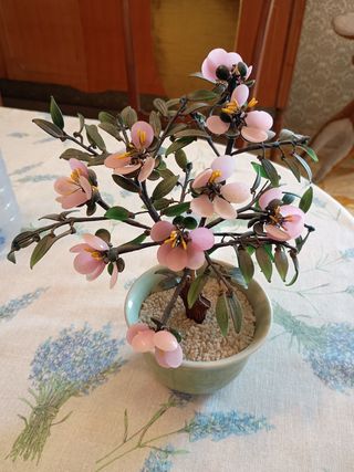 Bonsai Giada Rosa - Decorazione