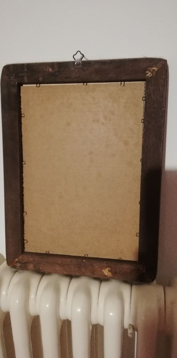 2 Stampe botaniche antichissime in cornice