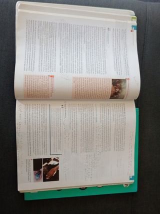 Historia De La Filosofía, Bachillerato 2
