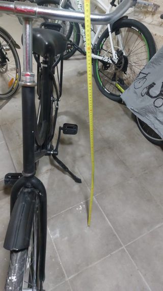 Bicicleta holandesa clásica