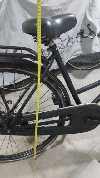 Bicicleta holandesa clásica