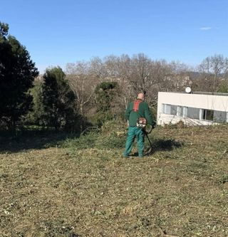 Mudanzas y limpieza de terrenos
