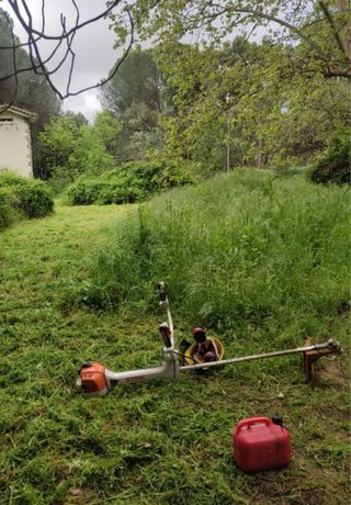 Mudanzas y limpieza de terrenos