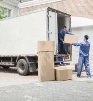 Mudanzas y limpieza de terrenos