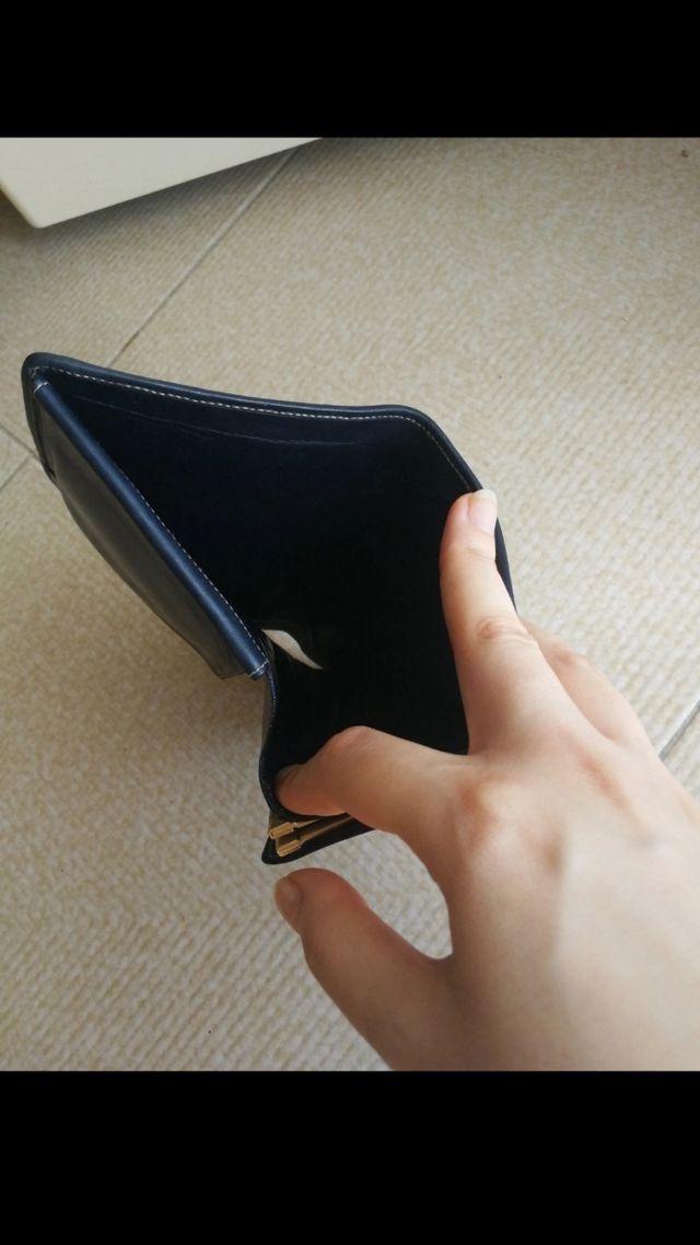 Portafoglio Nannini vintage