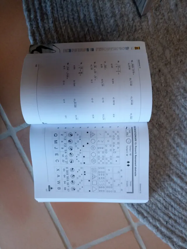 Qüestionaris Psicotècnics