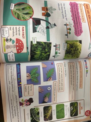 Cambridge Natural Science Level 2 Pupil's Book ...