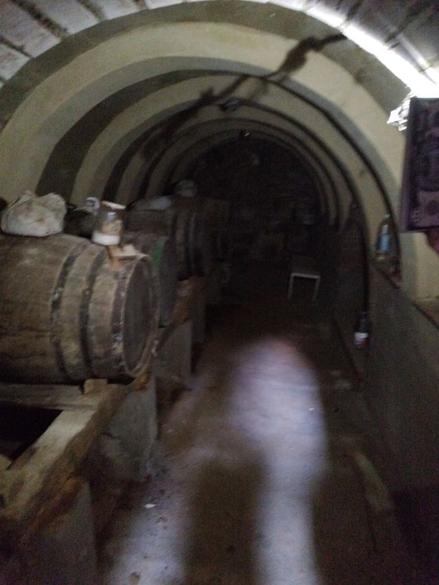 Bodega-Merendero rústica