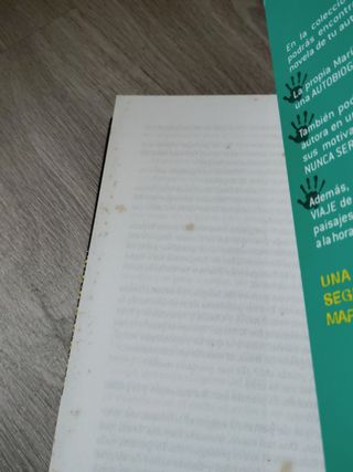Nunca seré tu héroe (Los libros de…) (Spanish E...