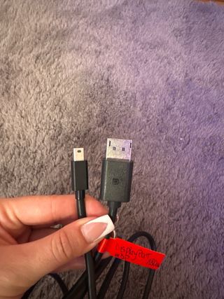 Cable Mini DisplayPort - DisplayPort macho/macho