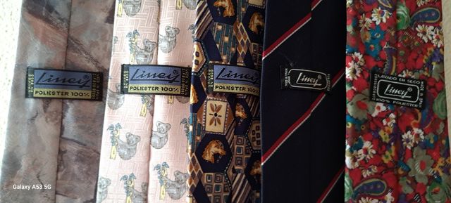 5 Corbatas Liney - Multicolor