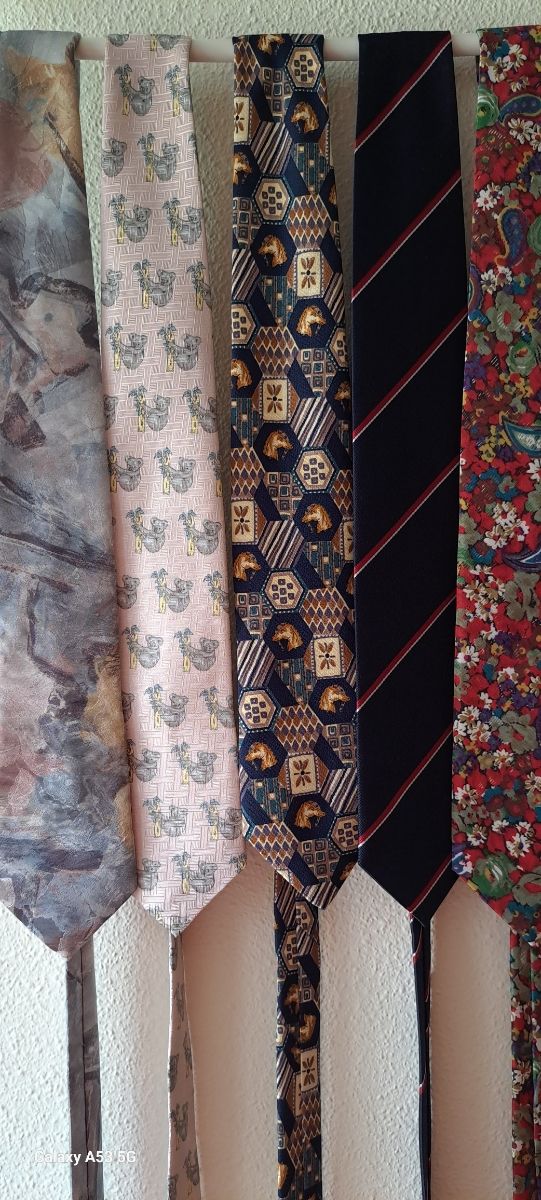 5 Corbatas Liney - Multicolor