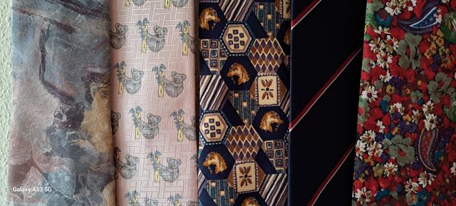 5 Corbatas Liney - Multicolor