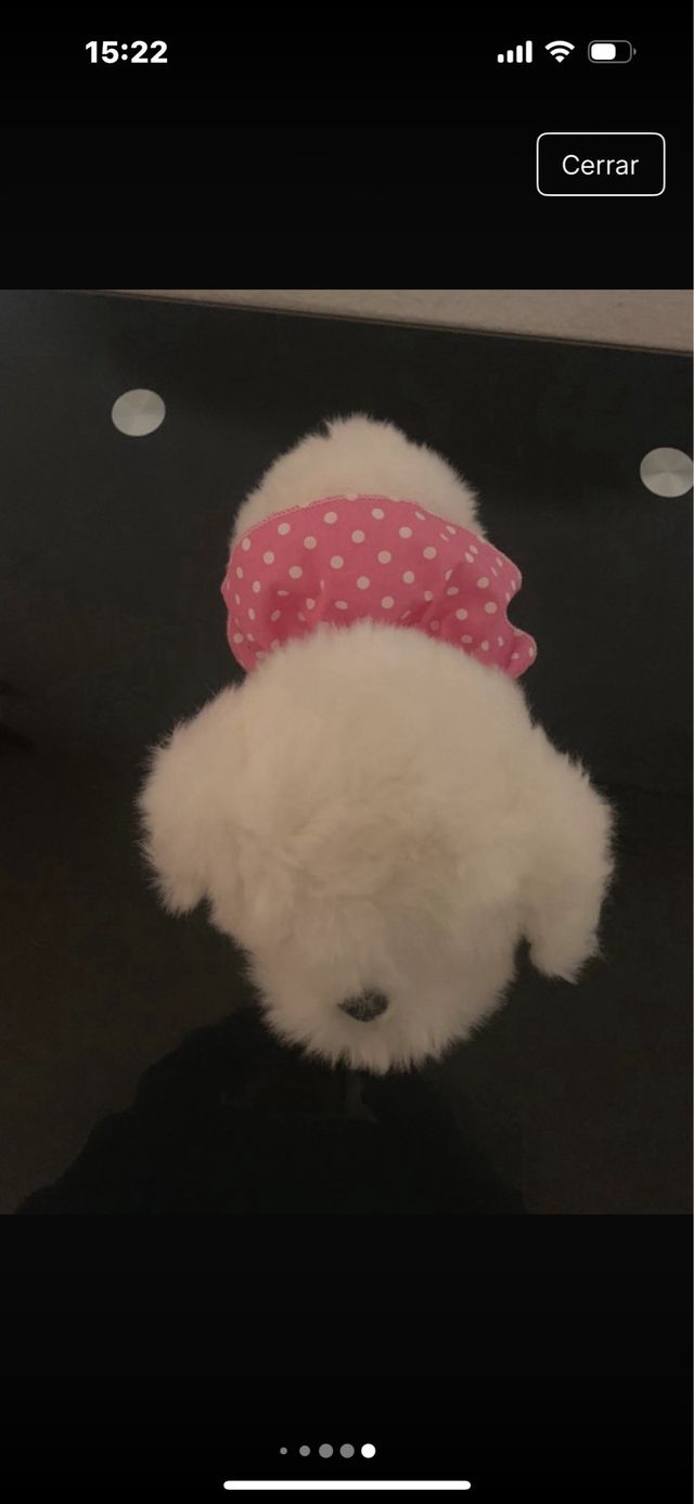 Perrita de peluche andadora y ladradora