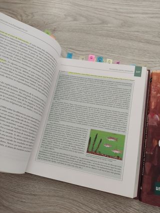 Introduccion ala psicologia social