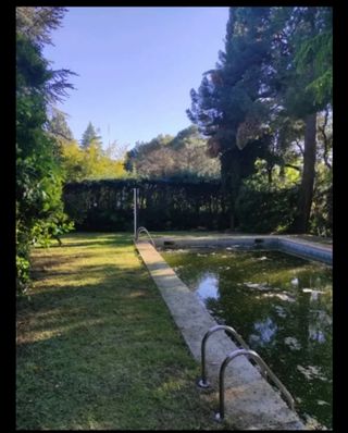 Desbroce parcelas - Limpieza terreno