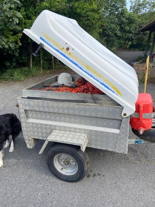 Remolque para perros