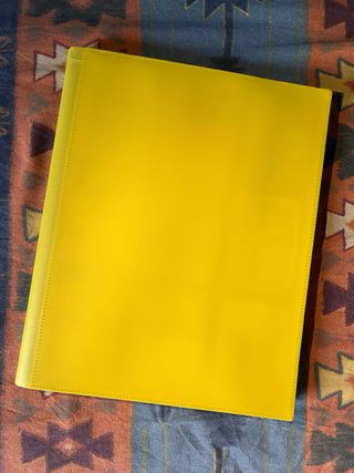 Album a 9 tasche con carte pokemon