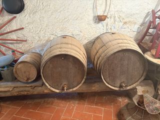 Barricas Vino